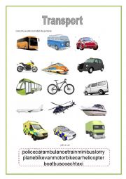 English Worksheet: Transport