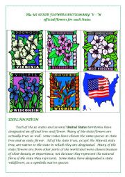 English Worksheet: The US STATE FLOWERS PICTIONARY  V - W