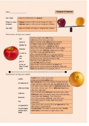 English Worksheet: Compare and Contrast Vocabulary