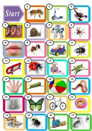 English Worksheet: Bugs World 1 - parts of body, animals and toys