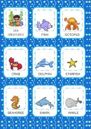 Sea creatures Flashcards