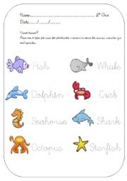 English Worksheet: Sea creatures activity