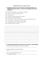 English Worksheet: a test on passive voice, reported speech, conditionals, vocabulary