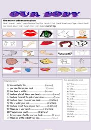 English Worksheet: our body