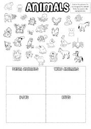 English Worksheet: Animals