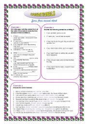 English Worksheet: CONDITIONALS