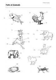 English Worksheet: Animal Body Parts