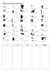 English Worksheet: Plurals