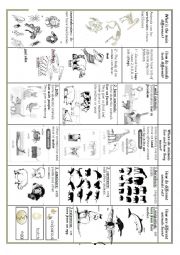 English Worksheet: animal groups