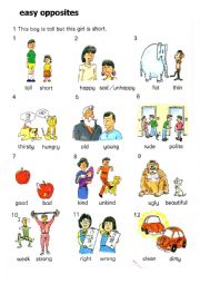 English Worksheet: easy opposites