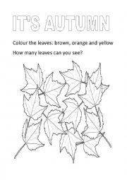 English Worksheet: Its autumn