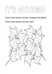 English Worksheet: Its autumn