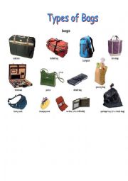 English Worksheet: Bags