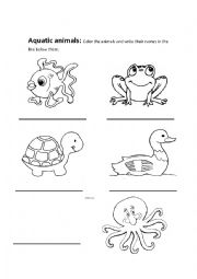 English Worksheet: Aquatic animals 1