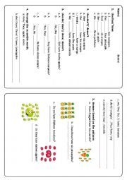 English Worksheet: Have, Has, Do, Does
