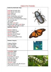 English Worksheet: INSECTS POEMS for kids