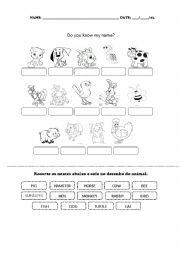 English Worksheet: Pets