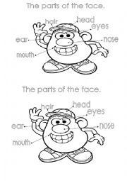 English Worksheet: parts of the face