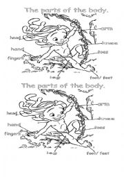English Worksheet: The parts of the body 