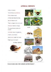English Worksheet: ANIMAL HOMES (a poem+ a pictionary for kids)