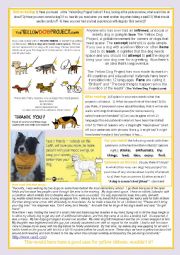 English Worksheet: The Yellow Dog Project