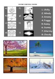 English Worksheet: WEATHER CONDITIONS AND SEASONS