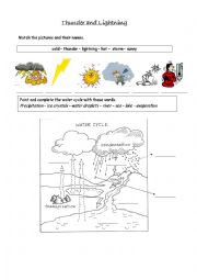 English Worksheet: The water cycle