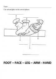 English Worksheet:  human body