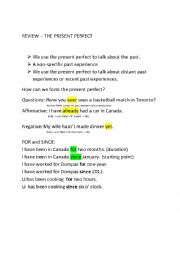 English Worksheet: Review present perfect