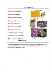English Worksheet: FLOWERS (a poem + a pictionary + questions to discuss)