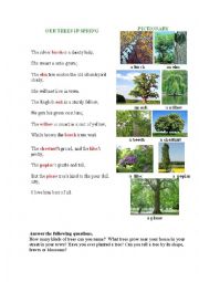 English Worksheet: OUR TREES IN SPRING (a poem + a pictionary + questions to discuss)