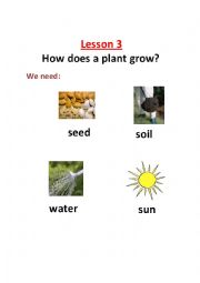 English Worksheet: science plants