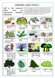 English Worksheet: IDIOMS with TREES (plus key)