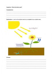 English Worksheet: What do plants eat? Photosynthesis in plants