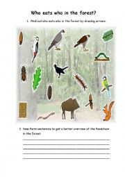 English Worksheet: Find out who eats who (food chain) in the forest