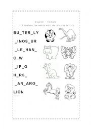 English Worksheet: Animals