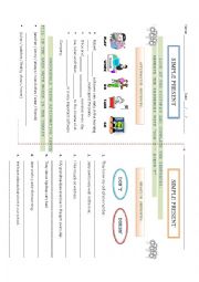 English Worksheet: Simple Present Worksheet
