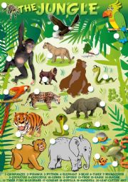 English Worksheet: Trip to the jungle 