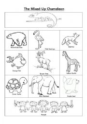 English Worksheet: The Mixed Up Chameleon Vocabulary