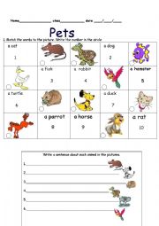 English Worksheet: pets