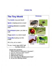 English Worksheet: INSECTS (a poem + a pictionary + questions)