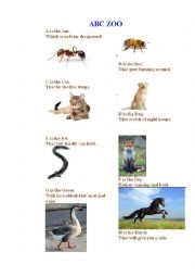 English Worksheet: ABC ZOO