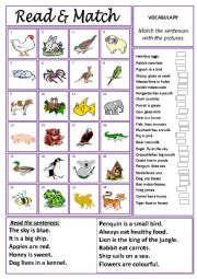 English Worksheet: Read & Match