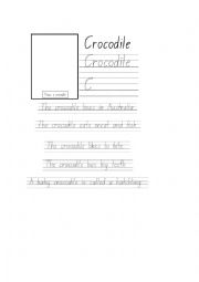 English Worksheet: Crocodile Worksheet