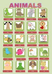 English Worksheet: animals