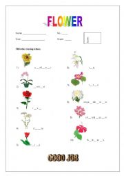 English Worksheet: Flower