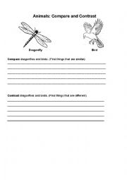English Worksheet: Compare and contrast animals