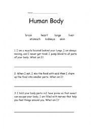 English Worksheet: Organs of the Body