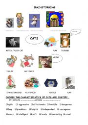 English Worksheet: cats