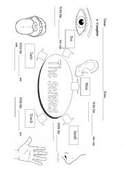 English Worksheet: The senses